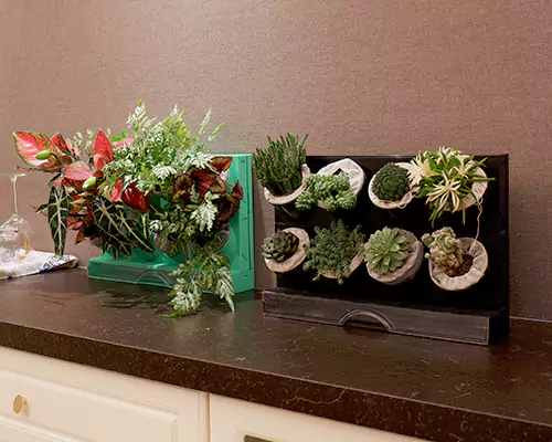 أواني الزهور الملونة تجعل نباتاتي تشعر وكأنها في إجازة كل يوم