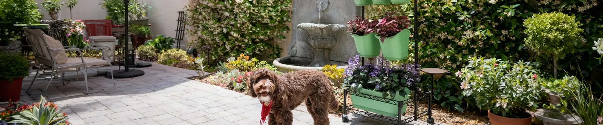 الحياة الخضراء