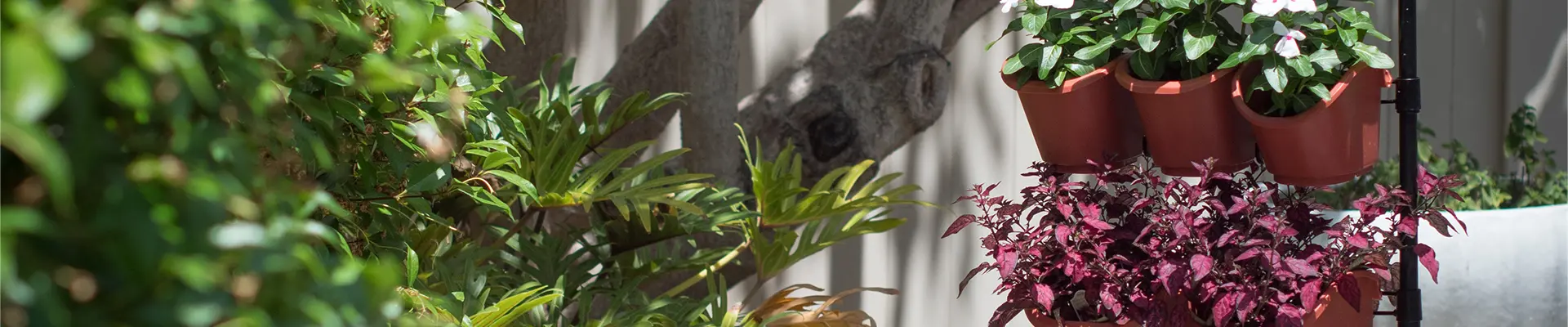 البستنة البيئية الحديقة العمودية