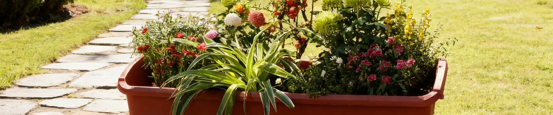 صندوق الغراس