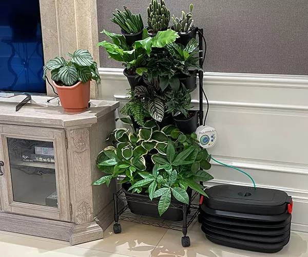 غرفة الجلوس