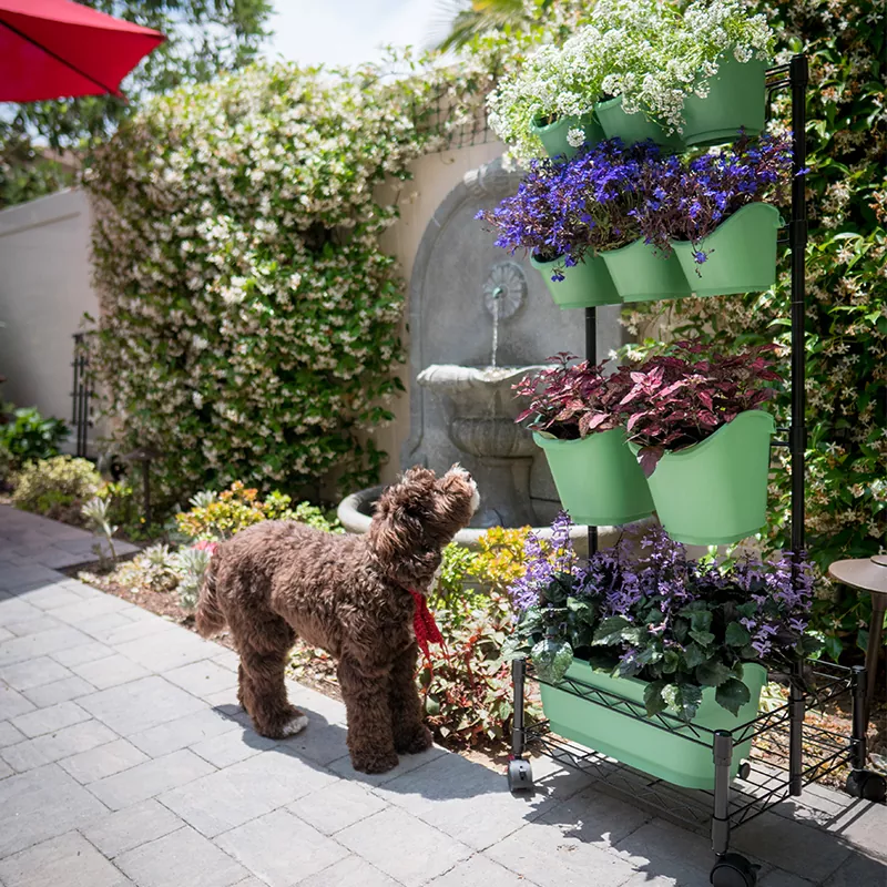 إطار معدني مزدوج الجدار باللون الأخضر